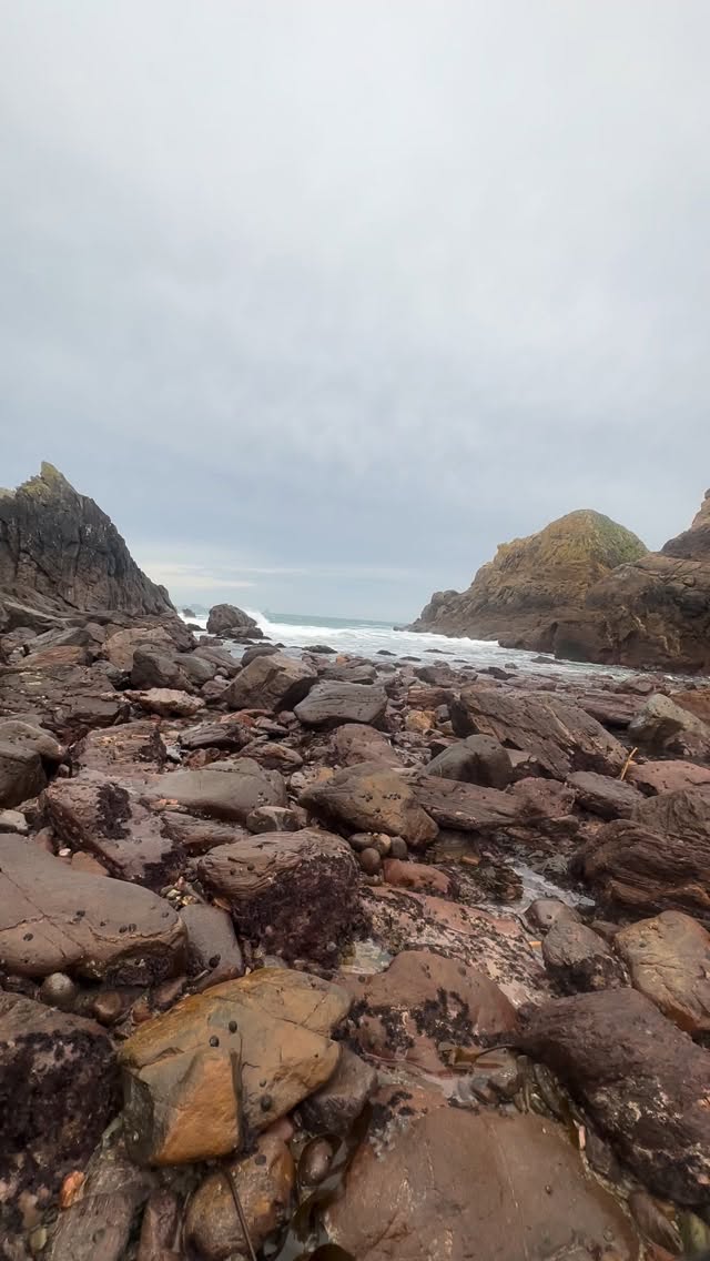 F..k all the peoples who buy plastic water bottles, just cause they don’t want to drink the classic one …. I don’t care what you think about me and my French English, but f..k you if you buy that !!!!!
@contrex @volvic.fr @cristalineofficiel @eauplancoet @perrier @evianwater @theoceancleanup @francetvnature
#plastic #pollution #respectnature #bottle #fuchthem #ocean #endoftheworld