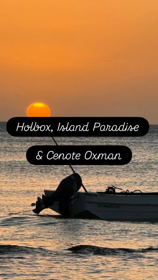Day 5 of their Yucatan tour took these two British couples from Merida to Cenote Oxman outside Valladolid, a 45-50m deep natural water pool, and then to Holbox. Heaven on earth :) #holbox #cenote #mexico #tours #privatetour #osprey #birds #island #paradise #chiquila #cancun