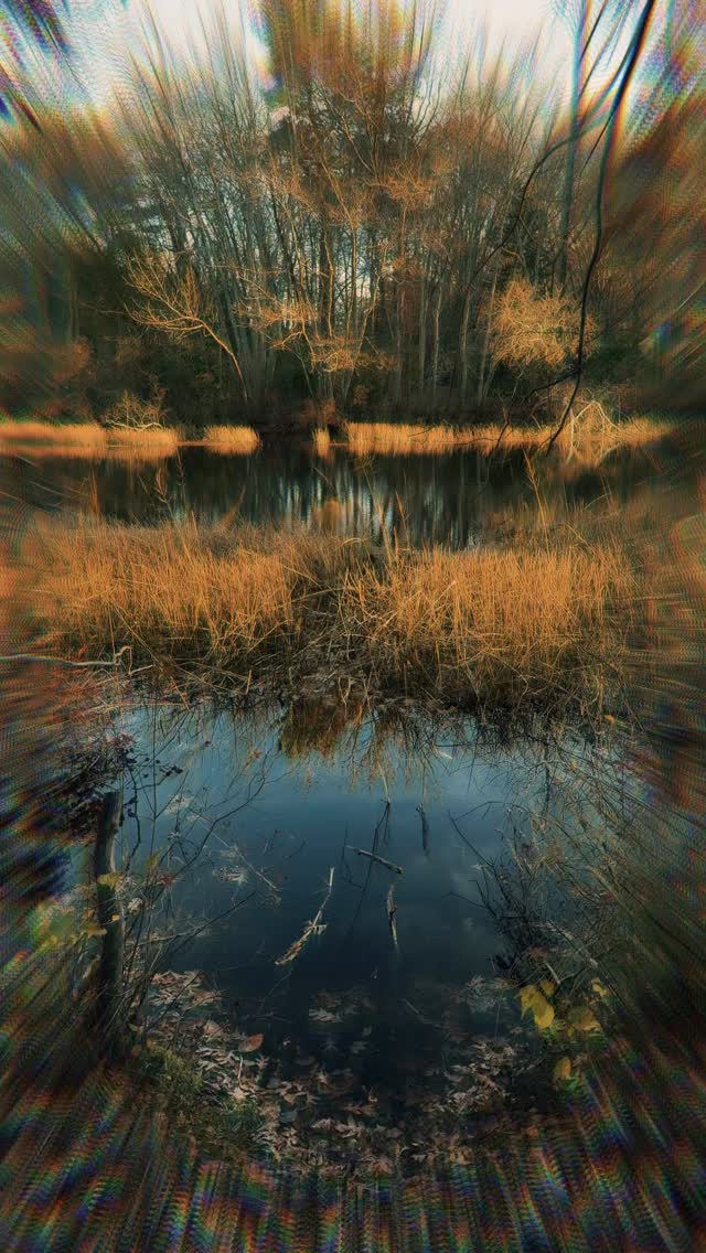 📍 41.6876° N, 71.5588° W
Stuck in a matrix of routine? Shift your lens.
New perspectives crack the code—what you see today rewires what you become tomorrow.
What view will you choose?
ᛃᛟᛞᛖ