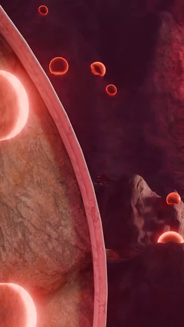 We wonder what ‘She Said’ about this one🤔
Presave in bio
#ukbass #recordlabel #viral #music #reels #producer #basshouse #edm #house #edmmusic #dj #trap