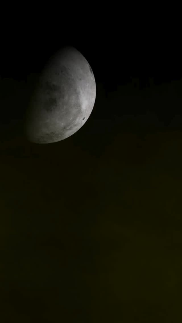 In der Wildeshauser Geest flüstert der Wind durch alte Bäume… 🌕🦇
doch in den Nächten, wenn der Nebel tief hängt und nur der Mond den Weg weist, kann man manchmal mehr finden, als man sucht… 🎃
Traust du dich alleine bei Nacht durch die Wälder von Hatten zu laufen? 👣🌲
Happy Halloween ! 🕯️🌕
@hattenhat
#hattenhat #wildeshausergeest #entdeckehatten #halloweeninhatten #Hatten #happyhalloween