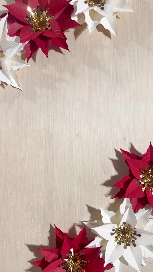 These paper poinsettias were a hit at my markets last year ❤️
Comment ORNAMENT and we’ll send the tutorial link to your inbox.
Make your own using our digital template. It’s Available on both our website and Etsy shop 🥰
#christmascrafts ##paperflowers #papercrafts #christmasdecor #diychristmasdecor