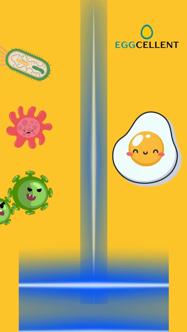 Want to protect your eggs? 🥚
Keep them fresher, longer with Eggcellent Eggstender - the natural shelf-life coating trusted by farmers and exporters.
🔗 eggshelflife.com
#Eggcellent, #EggStorage, #PoultryFarming, #FarmFresh, #FoodTech, #EggExport, #ShelfLife, #EggPreservation, #PoultryBusiness, #EggFarmers, #SustainableFarming