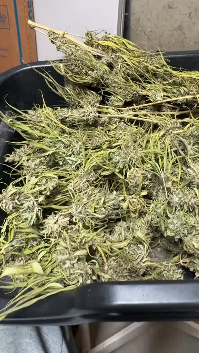 No where else I’d rather be….!