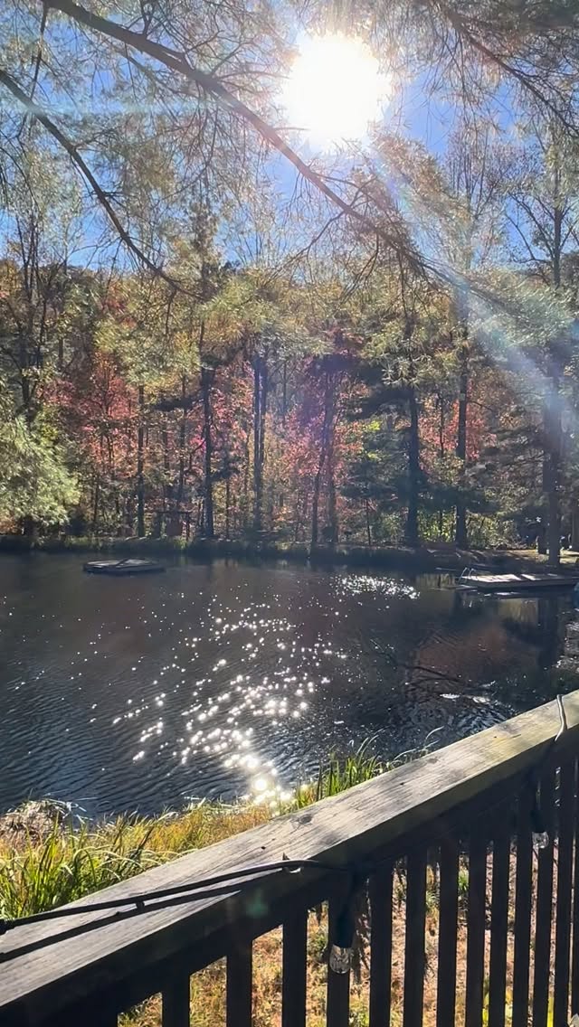 A little fall sparkle🐾💖🍂🪶