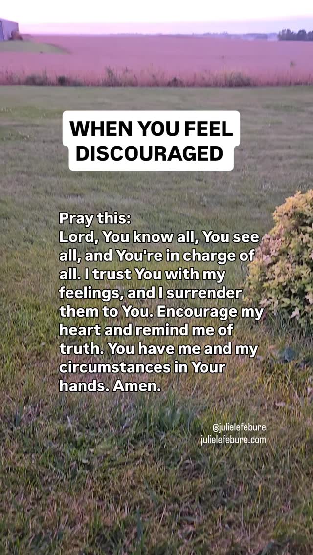 Feeling discouraged?
This simple prayer may help.
Trust God and remember His truth. He has you in the palm of His hand.
#remember #feelingdiscouraged #pray #abundantlife #Godhasyou