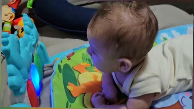 Conquista de hoje: descobri que minhas mãos não servem só pra colocar na boca, elas podem tocar as coisas! 😅
Lucas, 3 meses 👶🏼