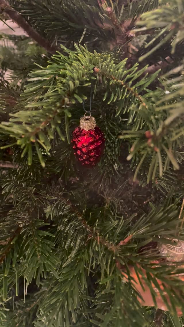 The perfect finishing touch for your tree- a beautiful silk velvet tree bow 🎀
These come with an adjustable elastic for positioning on the top of your tree and are a beautiful heirloom piece with a hand stitched finish, designed to adorn your tree for years to come.
This bow is also in my Black Friday sale with 25% off- these bows have never been on sale before and I’m not sure if I have enough velvet to sew another one of these so this might be the only one I make!
These don’t just need to be limited to trees; bannisters, door handles and wreaths are all worthy contenders for bow decoration!
Video description- starting from a single red Christmas bauble and panning up the Christmas tree to show a red silk tree bow on top with festive music playing