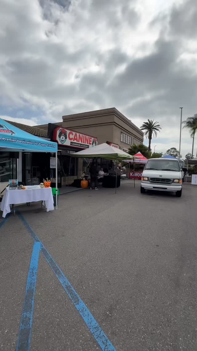 Thanks Yo @caninelearningacademy for the amazing Halloween Vibes!🎃 See you all next year!