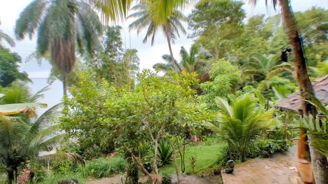 Lately been getting random flashbacks from QRI Ayahuasca research retreat held in Brazil 2 years ago. 🙈 If you want to read about what we did there, feel free to check out heart.qri.org