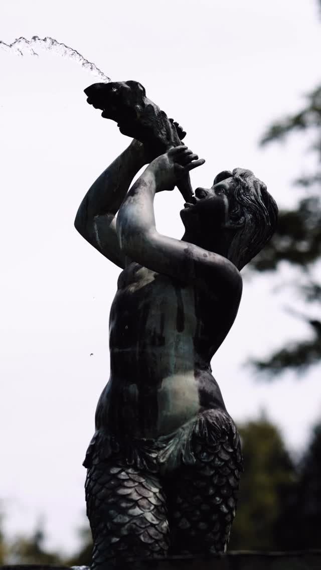 Robtown - Population: 2
Here’s the first glimpse into the summer celebration of the year - A wedding that perfectly blended tradition and originality. Of two of the coolest people who make the absolute dreamiest and most fun team. And who everyone is better off for knowing and being around. This one was especially special 🥰
.
@soireebysouleret
@josie.kendall
@robbyt543
@abielivesayphotography
@partymosaic
@lendablelinens
@kustommadeband
@mariemiclotmakeup
@finchbeautypgh
@aopartyrentals
@eflighting
@windswept_promotions
@fox.andthefleur