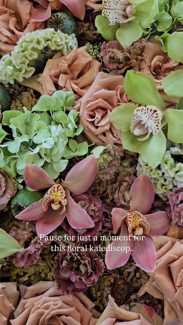 Just something that was sitting on my camera roll..
Seems appropriate while life in on pause...
#floraldreams #florals #fleurs #flowers #kalediscope #flowersofinstagram #floristdorset #floristwiltshire