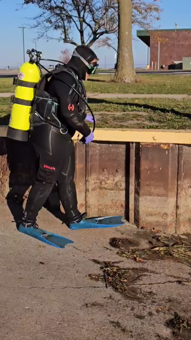 Out for a dignified stroll at the boat launch.
.
.
#recoverydiving #lakestclair #greatlakesstate #detroitriver #stclairshores #clintonriver #harrisontownship #boattown #algonac #stclair #metrobeach #michigansummer #michiganboating #puremichigan #michiganmarinas #metaldetector #safeharbormarinas #metaldetecting #Underwatermetaldetecting