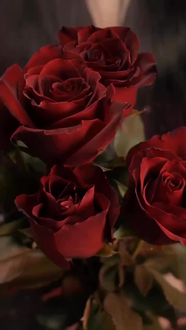 She’s Publishers Marketplace official 🥳😭🫠🥰😍🥹
I feel like I won the lottery. I have a two-book deal with @dellromance!!!
My talented, brilliant, incredible, amazing, show-stopping agent @madethisforlu found the perfect place for A ROGUE’S GUIDE TO WINNING A WIFE in just five weeks. Five!! Weeks!! I was fully prepared to be on sub for 6+ months, bracing for the prospect of shelving the book if it didn’t sell, and collecting more “this is lovely, but…” rejections. I think Alex believed in this book more than I did at times and I’m so, so grateful she signed me on.
And I’m thrilled to be working with Ivanka Perez at Dell! Her enthusiasm and excitement for my book was evident from our first call and her vision for ROGUE’S GUIDE is phenomenal. She is the editor advocate my book needs.
As always, I’m super thankful to my writing community. The critique partners, the beta readers, the mentors, the friends I’ve made online and off: They all had a hand in bringing this book to life. Expect a lot of exclamation points and crying emoji faces in the Acknowledgments section (can they print emojis in the Acknowledgments?).
More to come!! In the meantime, read historical romance, and get ready to meet Christopher and Hannah in 2027!
#bookdeal #debutauthor #historicalromance #regencyromance #aroguesguidetowinningawife