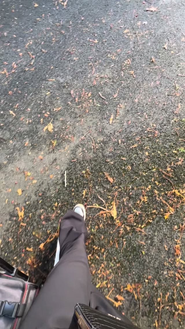 October Recap 💫
This month was a quieter one for me as my husband and I took some time away to celebrate our first wedding anniversary 🥂
I still had the privilege of glamming some gorgeous brides and styling lots of lovely clients for event hair!
I also travelled up to Sheffield for @hairbyhannahtaylor masterclass which was incredible, I left feeling so inspired!
And I had the pleasure of teaching a 1-1 session with the lovely Ellie @cove21bridal who’s going to smash it in the bridal world.
I still have availability for 2026 bookings and my 2027 books will open in January 2026.
If you’d like to be added to the waiting list, just click the link in my bio 💫
.
.
.
#octoberrecap #bridalhairstylist #destinationbridalhairstylist #bridetobe #bridalhair #destinationwedding #ukbridalhairstylist #trendingbridalhair #weddinghairstylist #timelessbrides #weddingmoments