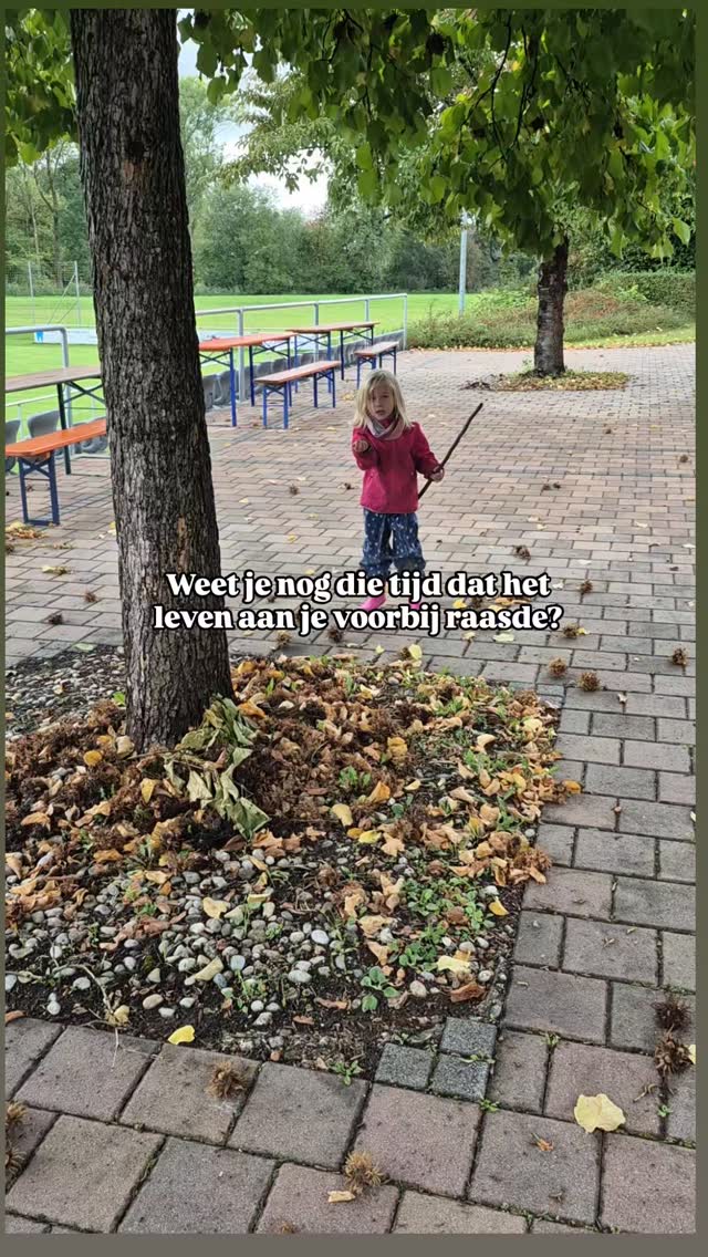 Even wat herfst-spam op je scherm 😍🍁🍂🕸🎃
Wat heb jij gedaan om deze herfst volop te beleven?