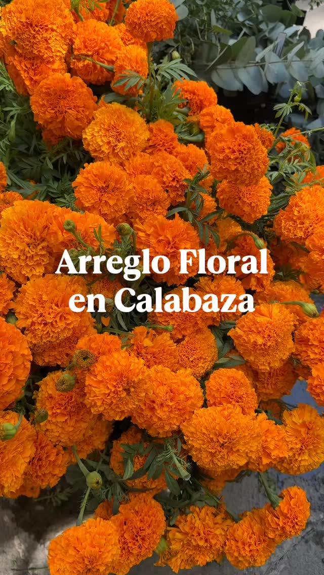 Entre flores, risas y calabazas, vivimos una mañana llena de creatividad en Punto Sao Paulo 🌼💛
Gracias a todos los que fueron parte de este taller tan especial 🌿
Si te lo perdiste, no te preocupes 🌻
Se vienen muchas más experiencias únicas para compartir, crear y conectar en comunidad 💫
Comenta con una flor si te gustaría ser parte de nuestras próximas experiencias 🌼