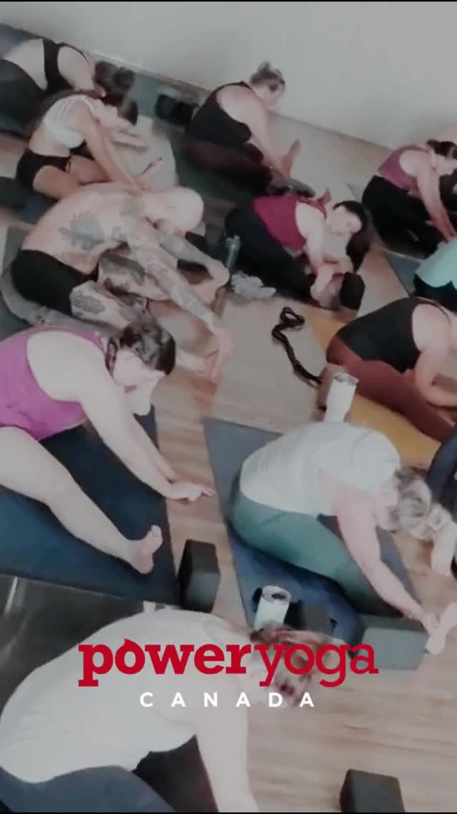 Ready to build strength, flexibility, and a positive mindset? It starts on the mat.
At Power Yoga Canada Sudbury, we believe yoga is for everyone, regardless of your experience. We offer a variety of classes each day so you can find a time and style that works for you. Our community is supportive, our instructors are world-class, and our studio is waiting for you.
Take the first step on your yoga journey with our Intro Special: 30 days of unlimited yoga for just $59.
Find your perfect class at pycsudbury.com.
#yoga #hotyoga #sudbury #ontario #health #wellness #poweryogacanada #heatingupthenorth #fitness #exercise