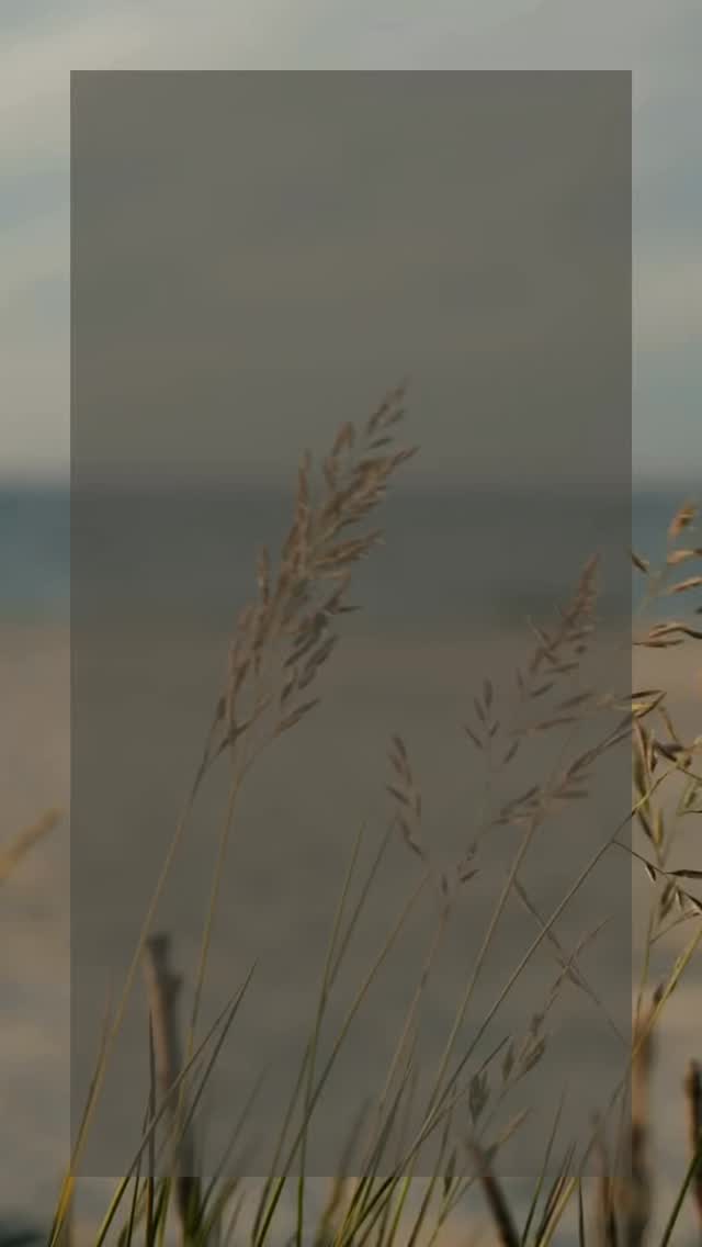 Why These 6 Questions Are Important
Automatic negative thoughts (ANTs) are reflexive, often distorted interpretations of reality that the brain generates to protect us from perceived threats. While this mechanism helped our ancestors survive physical dangers, in modern life it frequently misfires, leading to anxiety, depression, low self-esteem, procrastination, and strained relationships. Left unchallenged, ANTs become self-fulfilling prophecies: we feel the thought is true, so we act as if it is true, which then produces evidence that reinforces the thought.
These 6 questions are rooted in Cognitive Behavioral Therapy (CBT) and act as a mental “fact-check” system. They interrupt the automatic loop and force the prefrontal cortex (the rational part of the brain) to re-engage. Research shows that consistently applying CBT techniques like these can:
• Reduce symptoms of depression by up to 50% in 12–16 weeks (Beck Institute meta-analyses).
• Lower anxiety by teaching the amygdala (fear center) that not every alarm is real.
• Improve decision-making and resilience by replacing emotional reasoning with evidence-based reasoning. #healingjourney #personalgrowth #mindfulness #mentalhealthmatters #selfcare