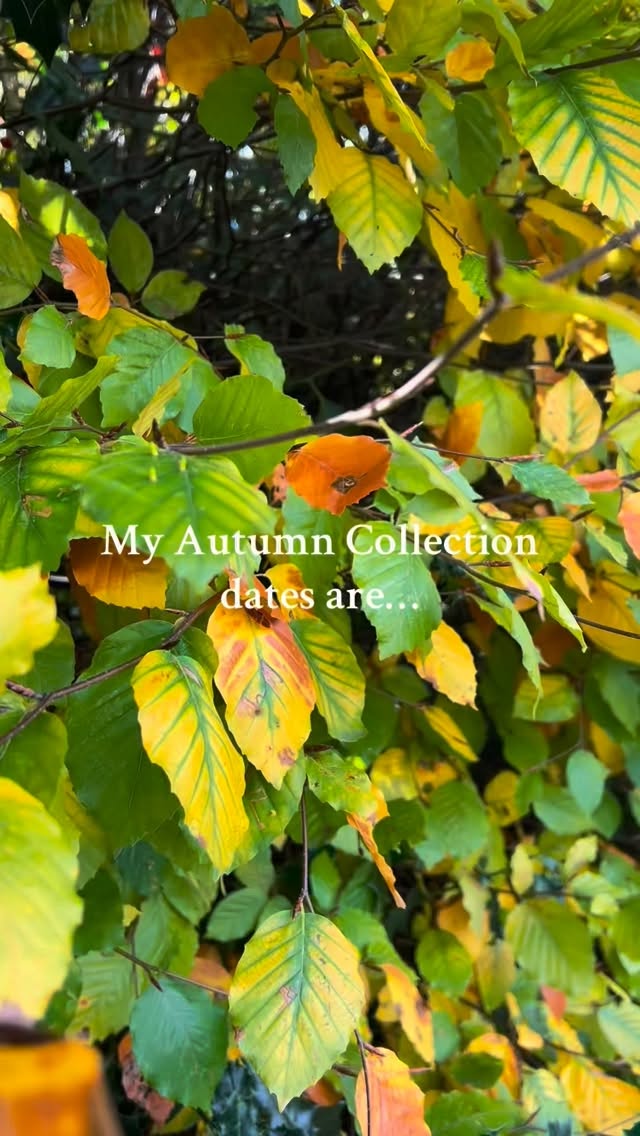 Autumn collection release
I have been documenting the development of my figurative leafy sculpture over the last few months as she has grown leaf by leaf. It has been a challenging sculpture to create and I am thrilled that she has been completed.
I shall be releasing this unique piece in an online auction on Friday 21st November at 8pm GMT. The auction will end on Saturday 29th November at 9pm.
On my website at FayeMayo.com.
The sculpture can be viewed at my Christmas Open studio, 29th November, before the auction ends.
This piece can only be sent to a UK address.
Online shop
I shall also be opening my online shop at the same time, Friday 21st November, before my Christmas Open Studio in Chaldon, to give you the opportunity to buy my new creations.
Christmas Open Studios
When:
* Saturday 29th November, 11am to 5pm
* Friday 5th Dec, 11am to 5pm.
I shall be collaborating with the painter Kate Norman as we open up for Christmas. Welcome along to enjoy a hot beverage, mince pies and brownies. Have a look at our latest artworks and buy gifts for Christmas.
Where:
2 The Heath, Chaldon. CR3 5DG
We’d love to see you!
#sculpture #clay #ceramicstudio #ceramiccollection #buyceramics