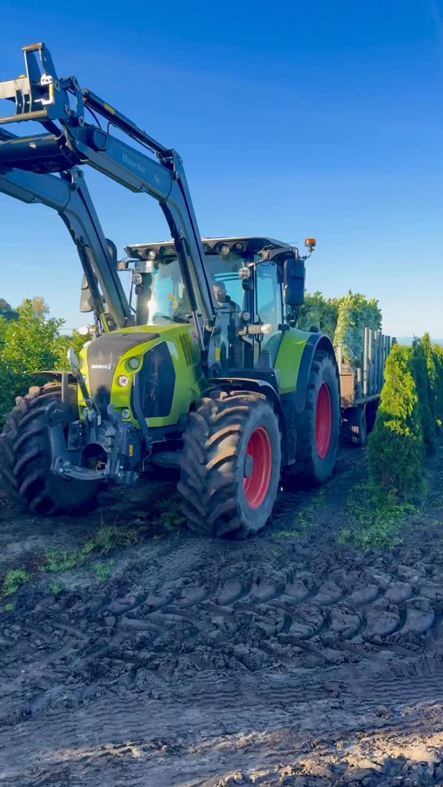 🌿 Ein Blick hinter die Kulissen bei Baumschulen Terbrack!
Vom Pflanzen bis zum Pflegen – hier steckt echtes Handwerk und Leidenschaft drin. 🌱
Die Aufnahmen zeigen, wie viel Liebe, Geduld und Präzision in jedem Arbeitsschritt steckt.
👉 Kleiner Hinweis: Die meisten Szenen laufen in doppelter Geschwindigkeit, damit ihr mehr Einblicke in kürzerer Zeit bekommt!
💚Denkt dran: jetzt ist Pflanzzeit!
@claas @claas_deutschland @agravis_technik_bvl @mdemachinebouw
#baumschulenterbrack #baumschule #pflanzenliebe #handwerk #grün #nachhaltig #reallife #gärtnern #boomkwekerij #nursery #trecker #claas #holmac #ausbildung #gärtner #gärtnerin