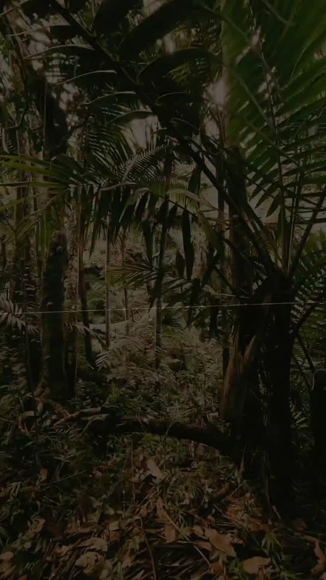 Something's sneaking up on October 30! 📦
#MGSCON #metalgearsolid #metalgear #mgsdelta #mgs3