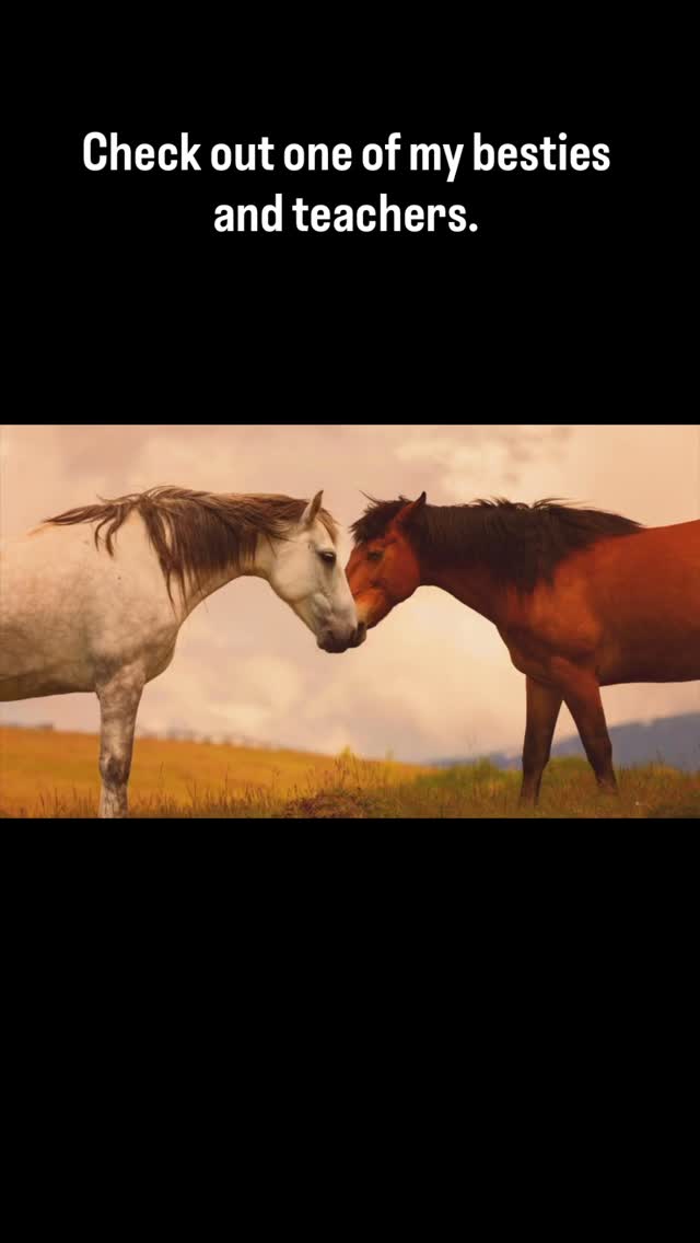 Take a look at one of my teachers. She’s amazing and loves to have her hair down specially when she goes out and plays!!