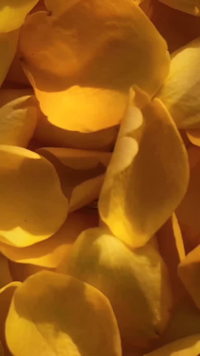 Biodécodage : Cycle menstruel court VS cycle menstruel trop long…
En cas de déséquilibre, votre utérus cherchera toujours à vous faire passer un message 🌹✨
Lors de mes accompagnements nous cherchons à mettre le doigts sur les messages de votre corps afin d’y faire les libérations énergétiques/émotionnelles/transgénérationnelles/physiques nécessaires pour retrouver équilibre et harmonie dans son corps et dans sa vie 🙏💗
#FémininSacré #GuérisonUtérine #MémoiresCellulaires #CycleFéminin #SouverainetéFéminine #Reconnexion #FemmesConscientes #endometriose #sopk #infertilité #menstruations #déséquilibres #douleursmenstruelles #spm #fibromes #santefeminine #santegynecologique #faussecouche #devenirmaman #tomberenceinte #amourdesoi #massage