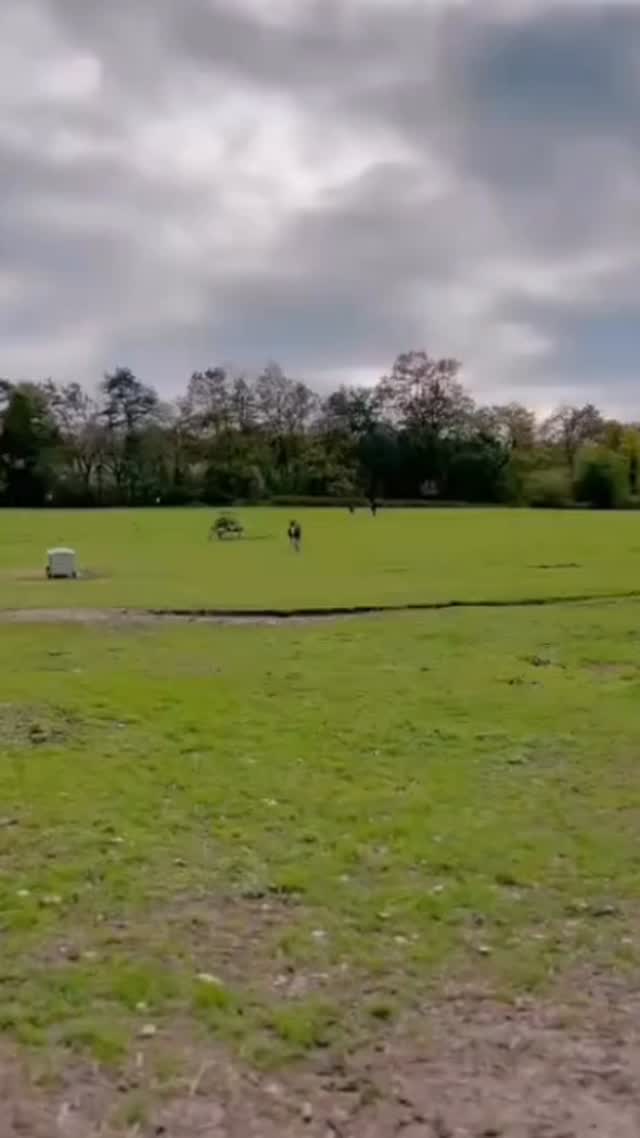 Super Fly Rambo 🍎 #donkey #happydonkey #alpacafarm #pettingfarm #warringtonalpacas #cheshirefarm #woodlandsalpacafarm #fyp #warringtonfarm #pettinganimals