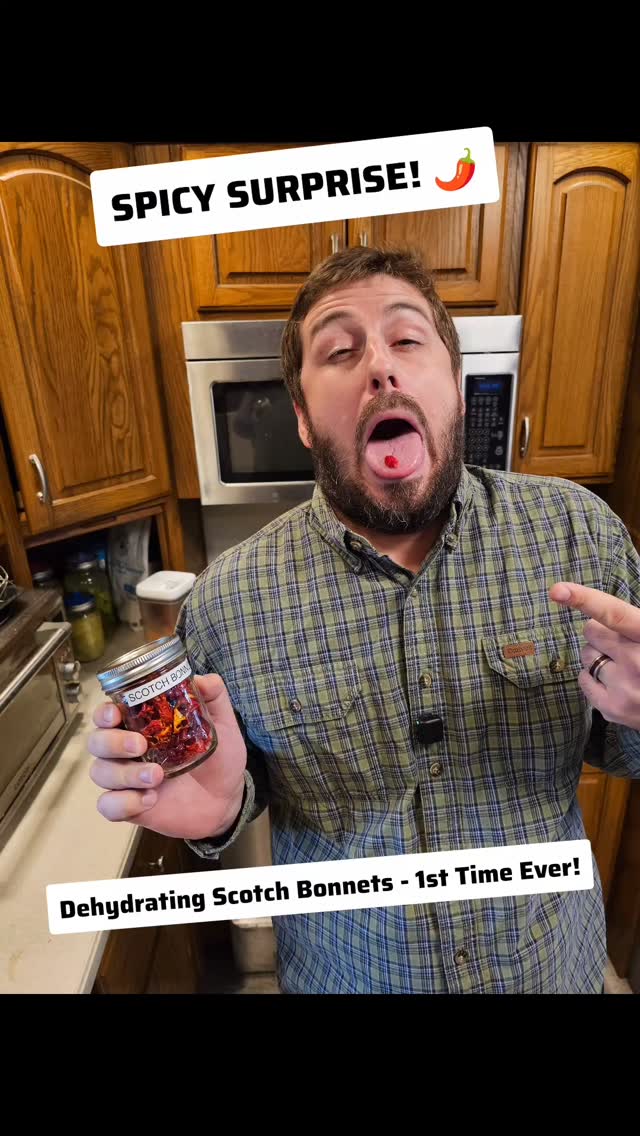 What was supposed to take 12 hours… took over 24 😅
We finally finished dehydrating our first batch of Scotch Bonnet peppers, and they turned out amazing! 🌶️🔥
Not sure yet how we’ll use them — maybe in chili or homemade hot sauce? Either way, we’re excited to start experimenting.
Drop your favorite spicy dish in the comments 👇 and make sure to like & follow to see what we use these fiery peppers in next!
#DehydratingPeppers #ScotchBonnet #HomesteadKitchen #SpicyLife #FoodPreservation #SimpleGroundedLife