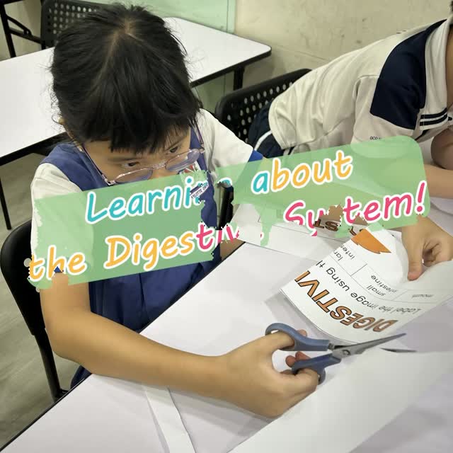 🍽️ STEM in Action: The Digestive System Unfolded!
Ever wondered what really happens after that first bite of food? Our Kinderians did — and they didn’t just learn it, they built it.
Through this interactive STEM activity, students explored the fascinating journey of food through the human body — cutting, labelling, and assembling each organ into a full digestive system model. Every piece they placed represented a moment of curiosity and connection: Where does digestion begin? What does the small intestine really do?
This hands-on approach turns complex science into something living and relatable. Beyond memorising facts, our learners visualised how everything works together — from the mouth to the stomach, right down to the smallest details that keep our bodies going.
At Kinder Growth, every STEM lesson is more than a classroom moment — it’s an experience designed to grow thinkers, not followers. ✨
💬 Would your child enjoy learning science this way — through creativity, teamwork, and discovery? Drop a ❤️ if yes, or comment 🍎 to see what’s next in our STEM series!
#KinderGrowth #STEMwithHeart #KinderianJourney #LearningThatLasts #STEMinAction #CuriousMindsGrowHere