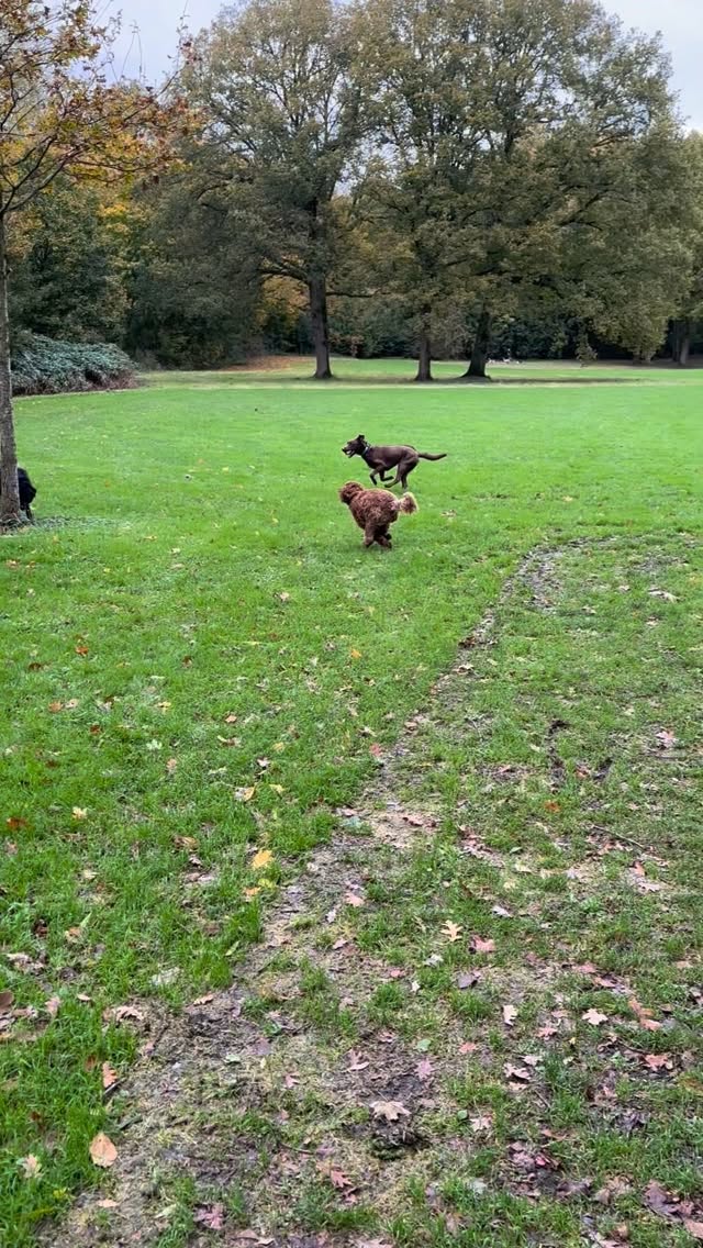 Even de beentjes strekken ..๐ฅณ๐