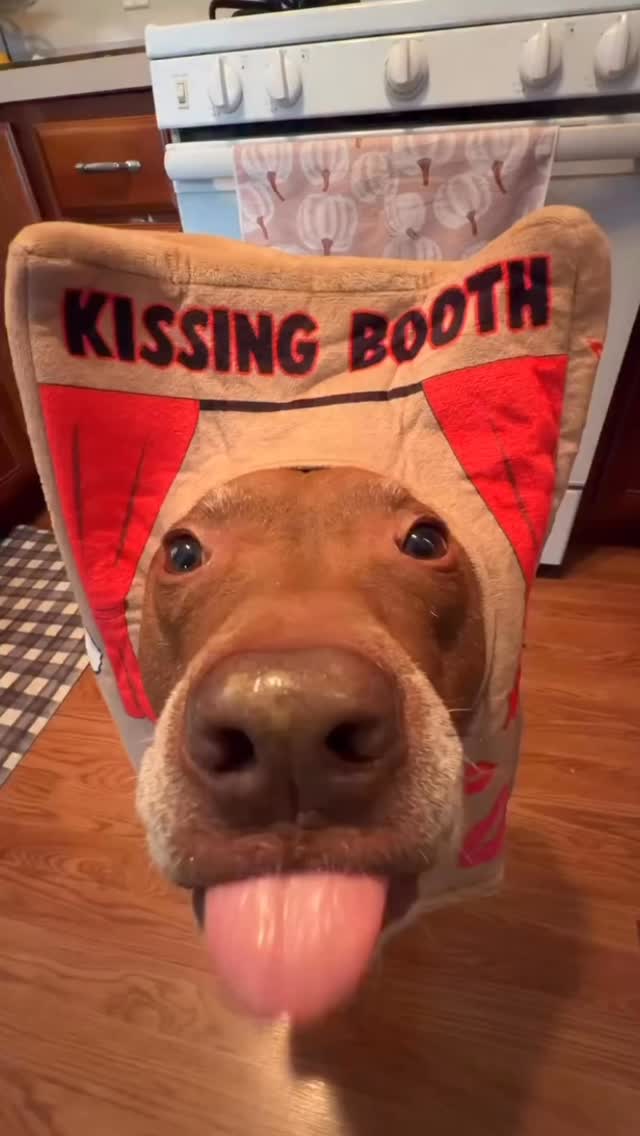 here for the kisses😂 repost @justopiethings 😂