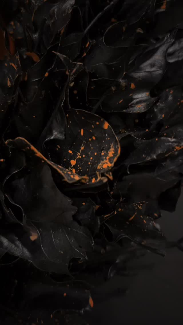 Welcome #halloween with a beautiful #autumn #doorwreath
#galway #flowers #yes_flowers