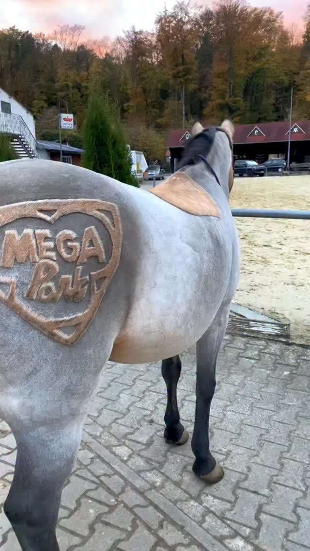 Der beste Community Post 2025 geht an @annika_cernota und @maja_205_ mit ihrer kreativen Idee dem Megapark-Logo auf dem Pferd! Solche originellen Beiträge lieben wir, und selbstverständlich unterstützt der Megapark solche Ideen. Wir sind immer offen für kreative Community Posts und sagen Danke für euren großartigen Beitrag!
____
#megapark #ifeelmega #unitedpartypeople #community