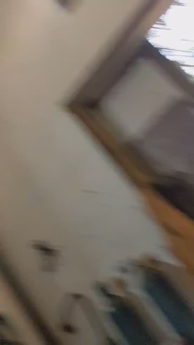 In progress: Heron, Bronze
All inquiries @artemisgalleryme
#veeverscarter #digbyveeverscarter #bronze #somersetsculpture #artemisgalleryme #maineart