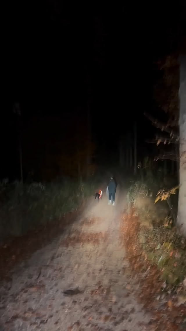 Das war er unser Halloween Trail 2025 - alleine - im Wald - Du - Dein Hund - Die Spur - Der Trail! Planung für nächstes Jahr läuft bereits 🤓🧟♀️🧟♂️