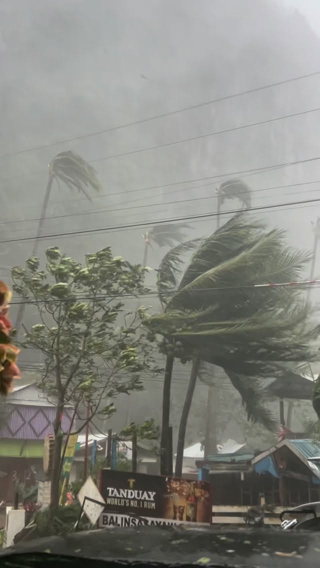 Tino hit El Nido hard.
Palawéños are harder. I can tell now.
My thoughts are with everyone who lost their livelihood today. We stand with you.
Cheers to all the boat crews who stood together. #palawenosareharder #typhoontino #tabankadivers #elnidopalawan