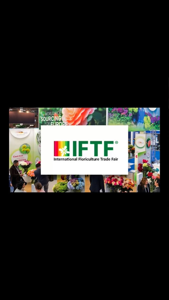 We had such a memorable week at IFTF. Moments of looking each other in the eye, meeting new faces, reconnecting with friends, sharing knowledge, learning from one another. That’s the power of shows like this. We want to see more buyers, more floral designers, more creative voices — because this industry can only be truly experienced when we are together.
So here’s your sign:
book the next fair in your calendar.
Nothing replaces being here.
#FloralBusiness #FlowerIndustry #GlobalFlowers
