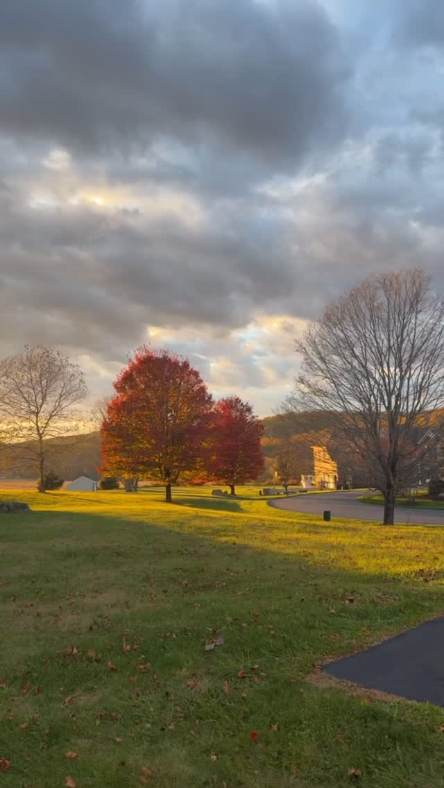 Fall tones + cozy vibes = endless inspiration.
Itâs Q4 the perfect time to plan your dream home for 2026. â¨
Letâs design a space that reflects the season you love most. đ¤
DM us or call us âď¸
.
.
#wcainteriors
#wandracaininteriors
#interiordesigner
#interiorconsultant