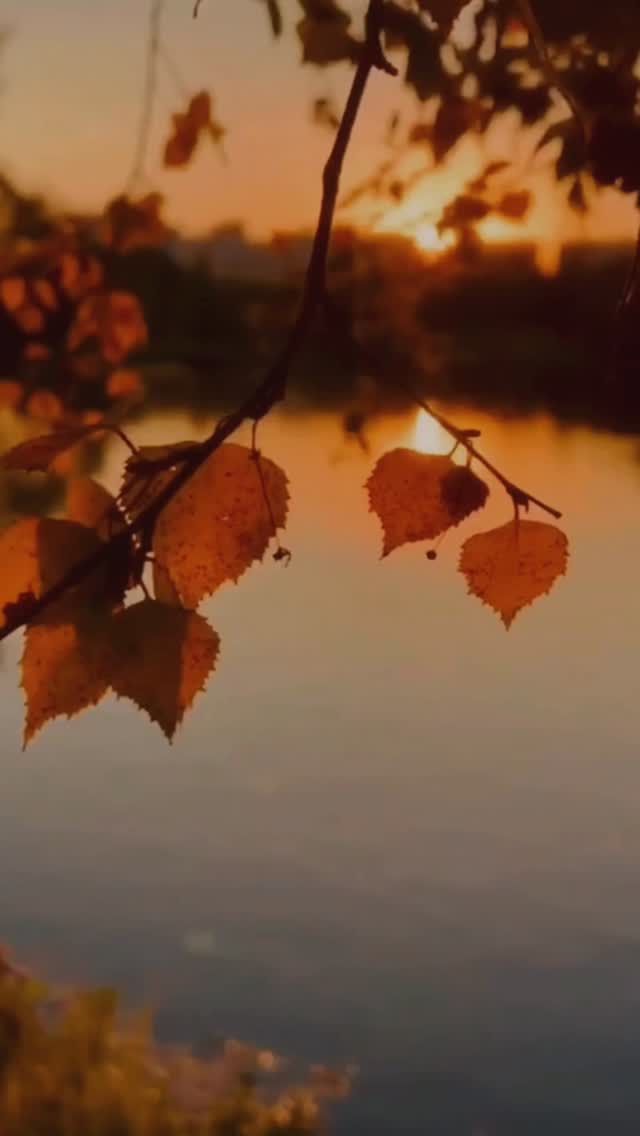 Your invitation do more than inform, they set the tone for your entire event.
At The Card Co., we focus on quality materials, clean design, and precision printing. Each suite is built to last, from paper selection to finishing. If you’re planning a wedding, start with details that speak for you.
Enquire now or visit us in-store.
info@thecardco.ae | +971 4 362 0566
#TheCardCo #WeddingInvitations #ModernStationery #PrintedToLast #WeddingSuite #WeddingPlanning #InvitationDesign #UKWeddings #BridalStationery #LuxuryPaperGoods #DesignMatters #DubaiWeddings #Printers #CraftedFineStationery