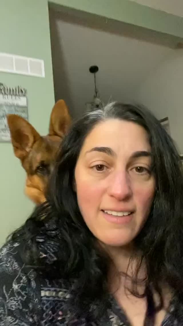 That time I tried to teach Ada to take a selfie 😂 #mindmygrays #timetogotothesalon #dogsofinstagram #gsd #germanshepherd #gsdofinstagram #gsdlife #gsdnation #gsdnation #dogs #dogstakingselfies #takeapicture