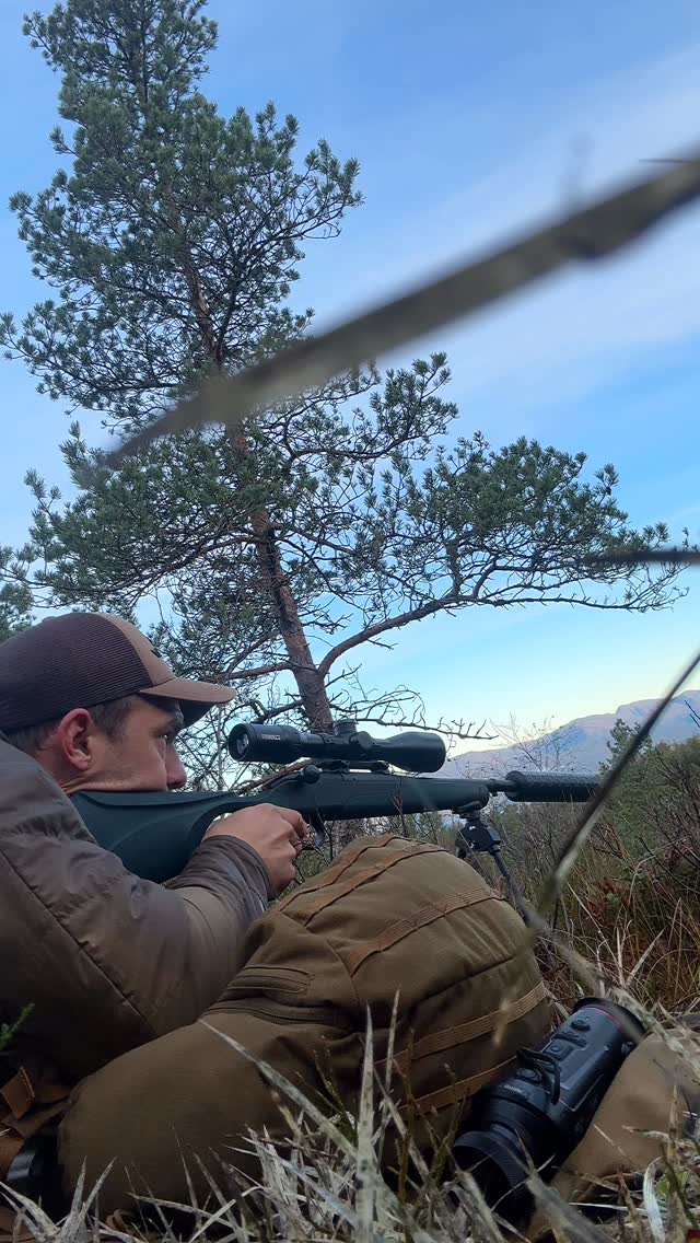 One shot. One impact. No doubt.
Jakele J1, 308Win, Sako Blade, Hunter Pro Gen2