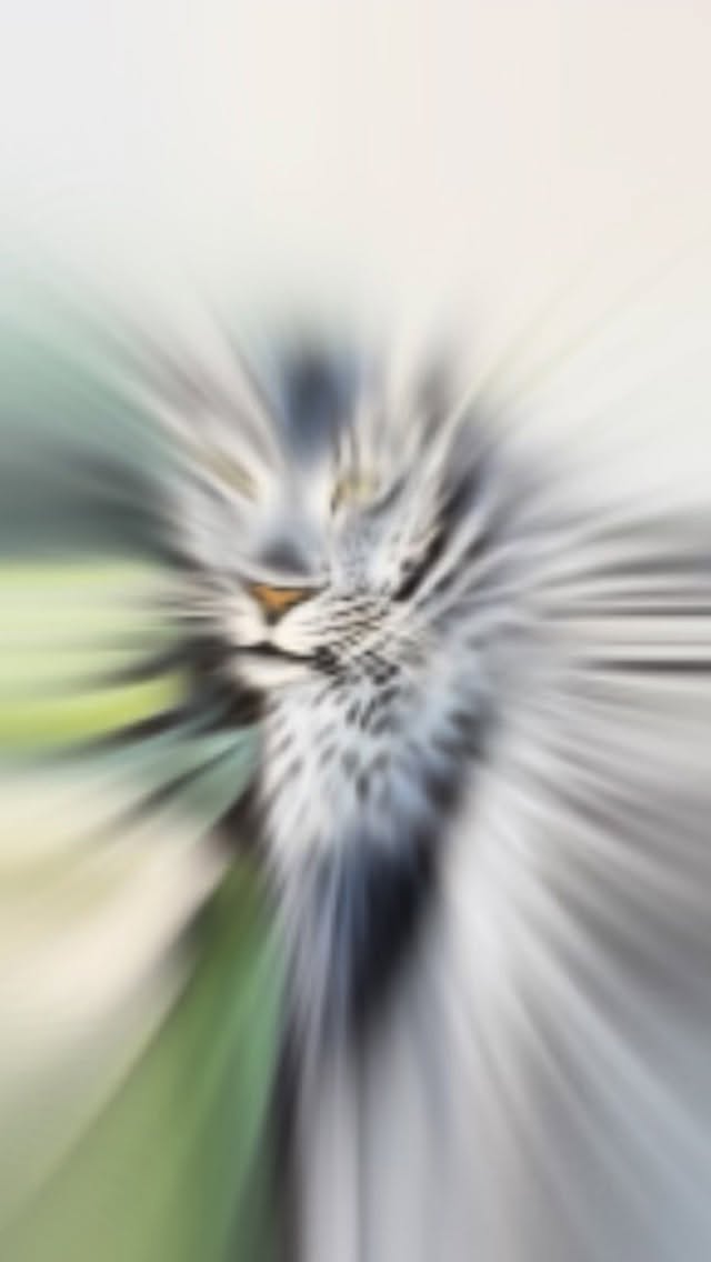 Four of my new Limited Editions from -
The Brazil Collection, now available in my online shop and heading to my galleries! 😍
In order…
A Sedutora (The Temptress)
The Blue Jaguar
Saudade (The Dreamer)
O Maracjua (The Passion Fruit)
What’s your favourite?
All painted with my passion for Brazil 🇧🇷
Available in 4 sizes including my new XL range, bespoke framing available.
@visualartistsassociation
@sota_marketplace
@thelondonartexchange
@thehydegallery
@seasons_bar
@saatchiart
@degreeart
@artfinder_com
@menorltd
#new #prints #london #gallery #brazil #fineart #limitededitions #contemporary #openspaces #visualartsassociation #arttrail #artshare