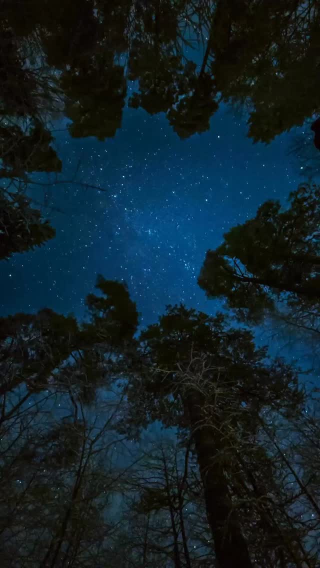 Listen to the last video post of the blue beam project and 3iatlas to state what's occurring and hoe it fall. The 3istlas is the first pre hoax #elite #psychic #spirituality #spirit #psychicmedium #trump #psychicmedium ##heaven #agenda21 #spiritualawakening #3iatlas #alien #bluebeam #bluebeamproject