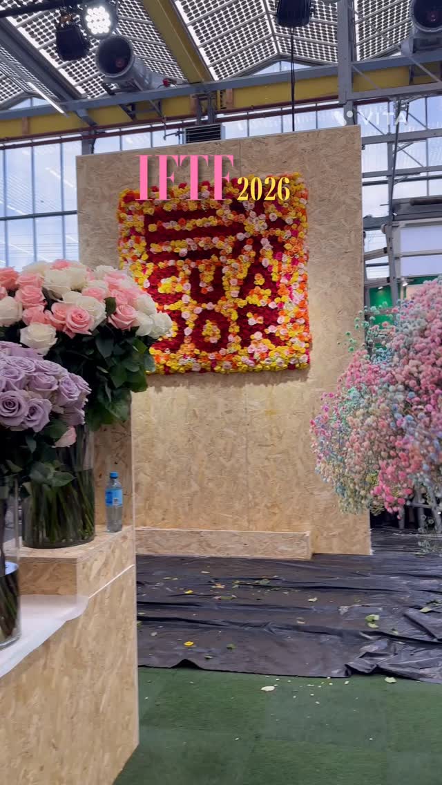 We are ready for IFTF in Holland. Let’s Meet and do great business! The most beautiful Flowers in the world are here and so are we! #ecuadorysusflores #theflowersofecuador #thebestroses #floriculturaecuatoriana #ecuador #bestrosesever #iftf2026