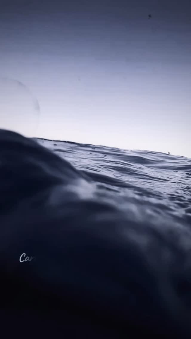 🌊 En el azul profundo del Pacífico en Bahía Magdalena… la vida estalla.
Miles de sardinas se mueven al unísono, seguidas por marlines, tiburones, lobos marinos y tortugas.
Un baile salvaje que solo la naturaleza puede crear. 🐋🐢
Aquí, donde el océano respira y el tiempo se detiene,
esta experiencia es con respeto y pasión, donde mostrando al mundo el poder de un turismo responsable. 🌎💙
Sumérgete, siente la energía,
forma parte del movimiento que protege y celebra la vida marina.
🔥 Unete a La Carrera de la Sardina Mexicana 2025.
La experiencia es ahora. 🔥
📍 Murillos Bros Adventours – Bahía Magdalena, B.C.S.
🌐 www.murillosbrosadven-tours.com
📧 murillosbros@gmail.com
📲 WhatsApp: +52 613 1168050
#SardinaMexicana2025 #MurillosBrosAdventours #BahíaMagdalena #MagBay #TurismoResponsable #ConservaciónMarina #AzulProfundo #BaitBallExperience
