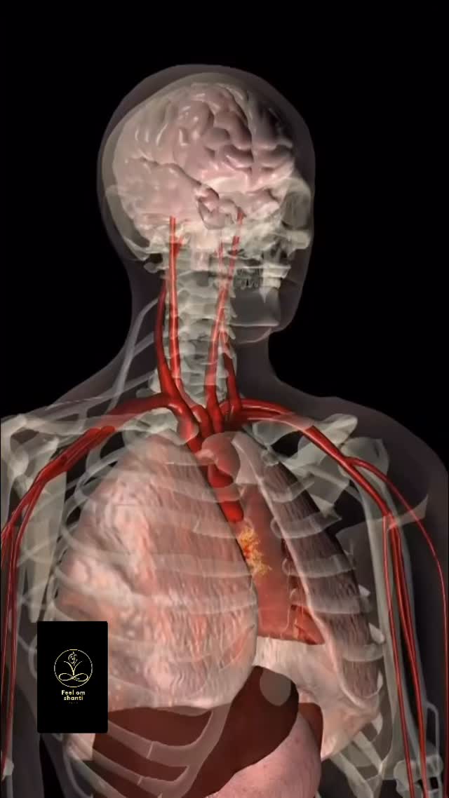 🤔🤔🤔🤔🤔🤔