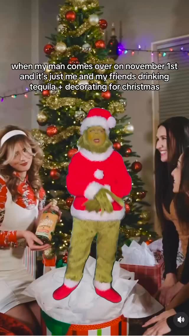 send this to the friend who already has their Christmas decorations up š
#explorepage #christmas #funnymemes #funnyinstagram #grinchmas