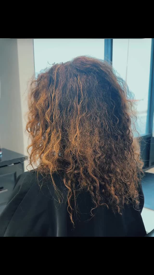 Curls + Hanzo shears = magic in motion ✨ Teaching the art of precision and freedom in every curl. #HanzoEducator #CurlSpecialist #HanzoNation